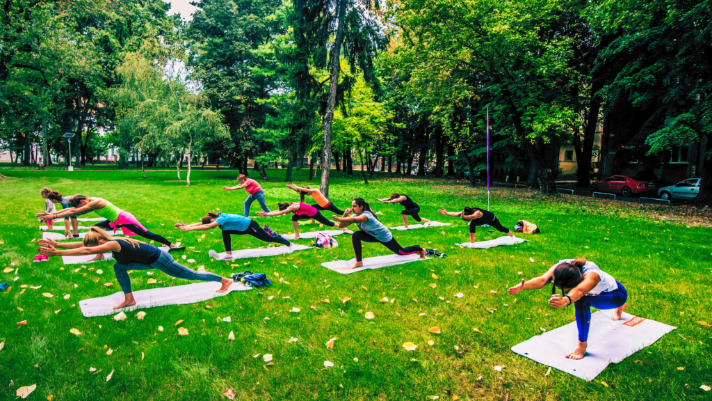 Health Unlimited - The Chiropractic Measure of Health